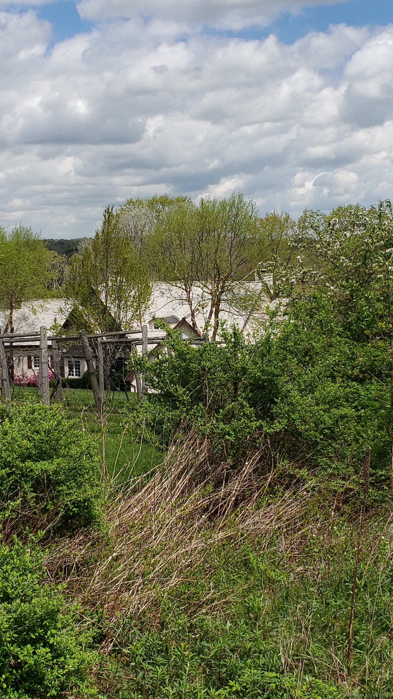 Lot 5 Milton Road Goshen, CT 06756 - Photo 14 of 31 a view of a yard with an trees