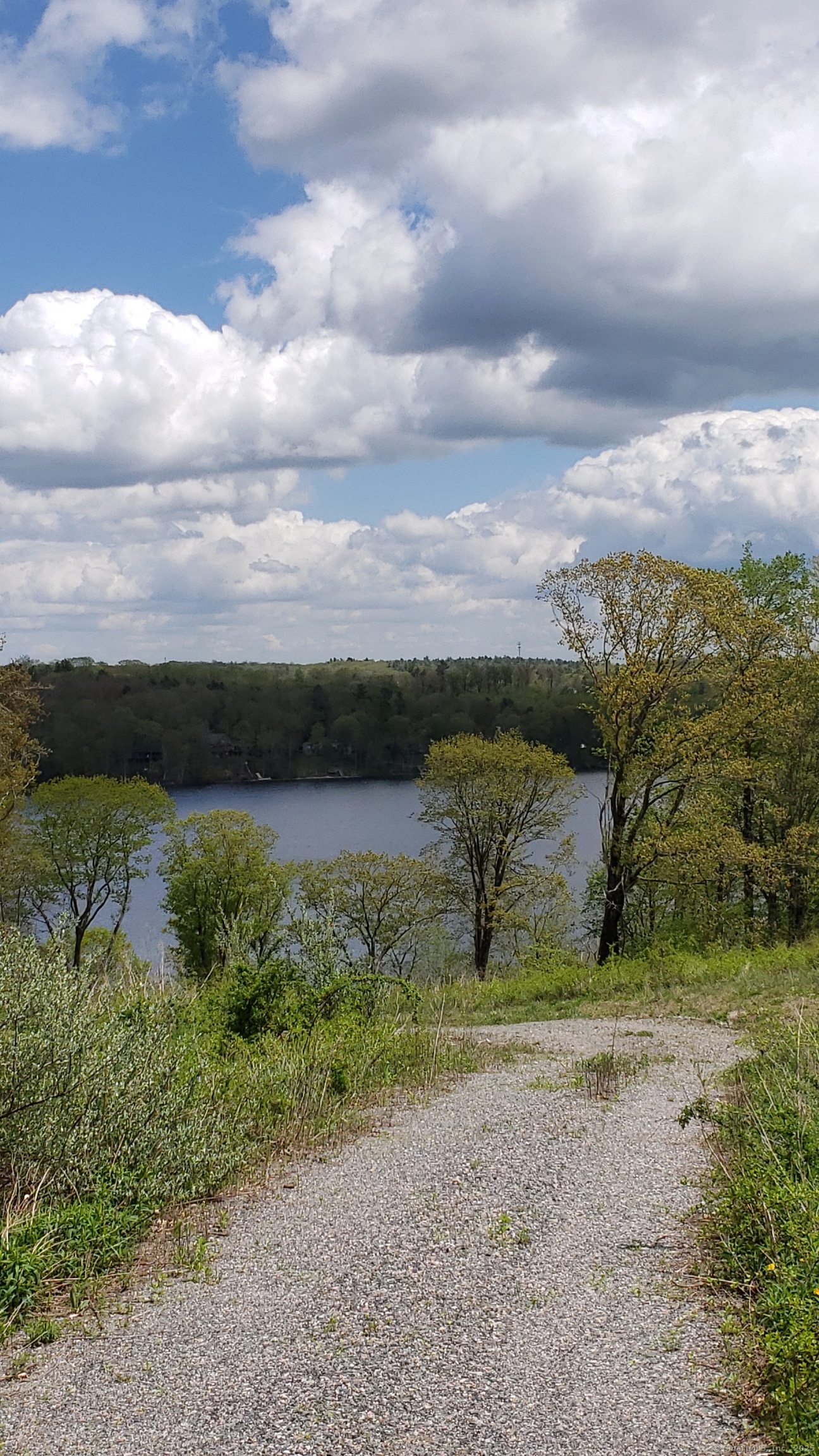Lot 5 Milton Road Goshen, CT 06756 - Photo 15 of 31 a view of a lake with a yard