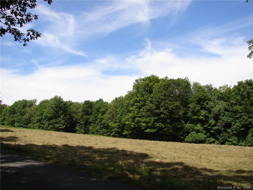 Lot 5 Milton Road Goshen, CT 06756 - Photo 3 of 31 a view of outside space and a yard