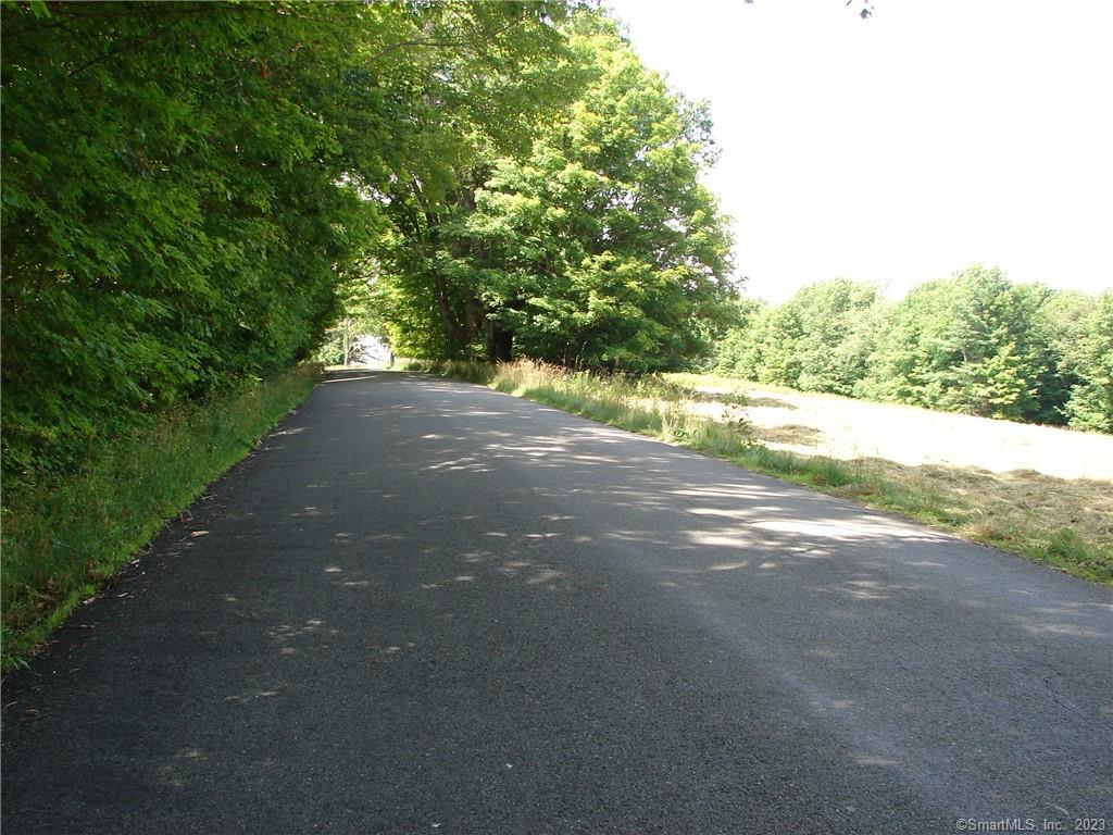 Lot 5 Milton Road Goshen, CT 06756 - Photo 6 of 31 a view of a yard with plants and trees