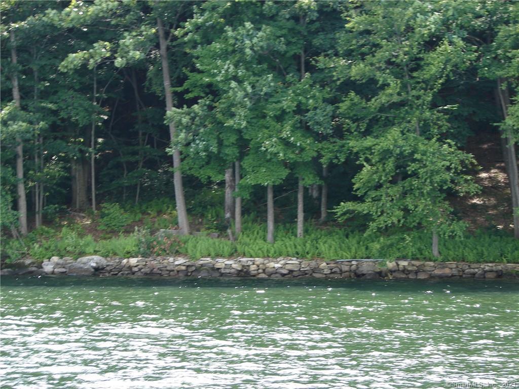 Lot 5 Milton Road Goshen, CT 06756 - Photo 8 of 31 a view of lake background with house