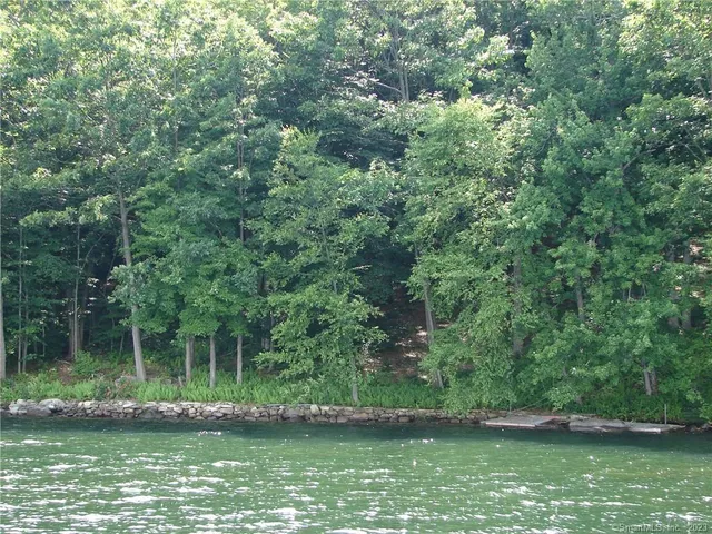 a view of a lake with a park