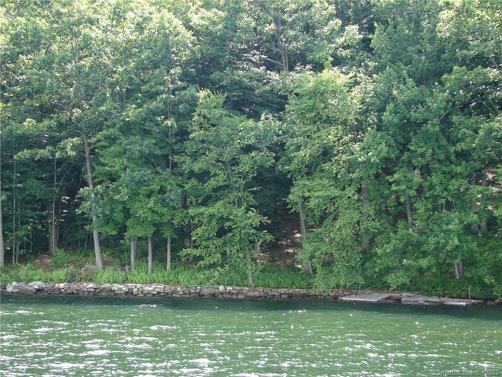 Lot 5 Milton Road Goshen, CT 06756 - Photo 9 of 31 a view of a lake with a park