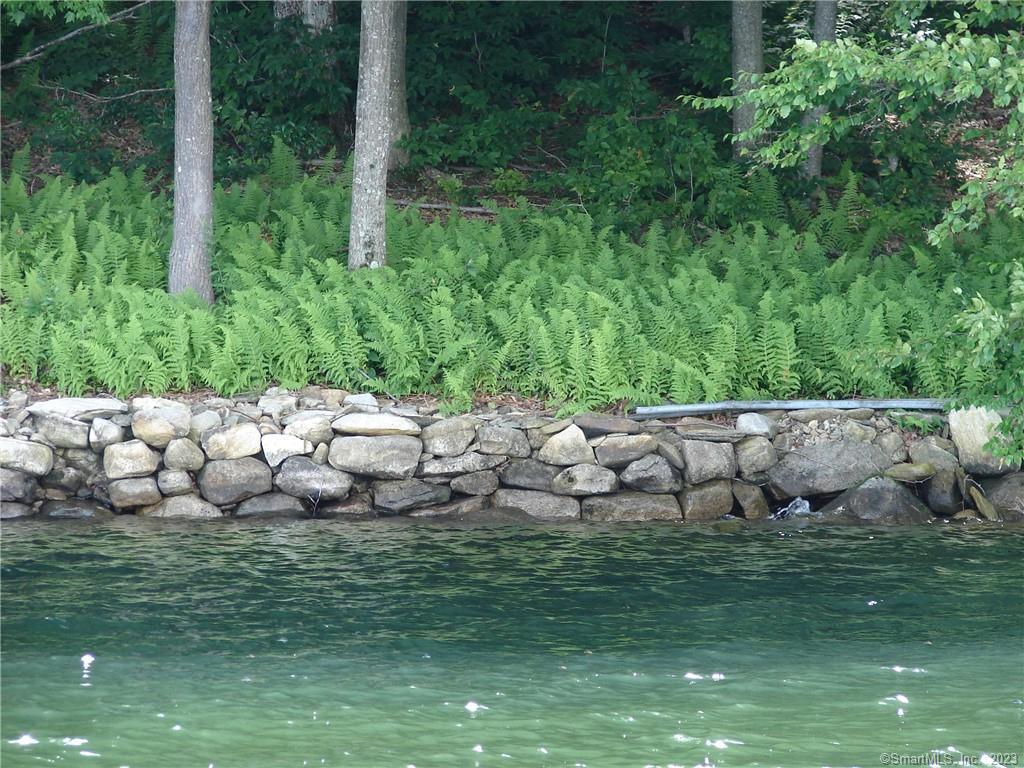 Lot 5 Milton Road Goshen, CT 06756 - Photo 10 of 31 a view of a green field with plants
