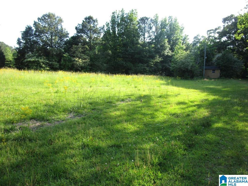 4956 Kings Mill Road Oakman, AL 35579 - Photo 23 of 27