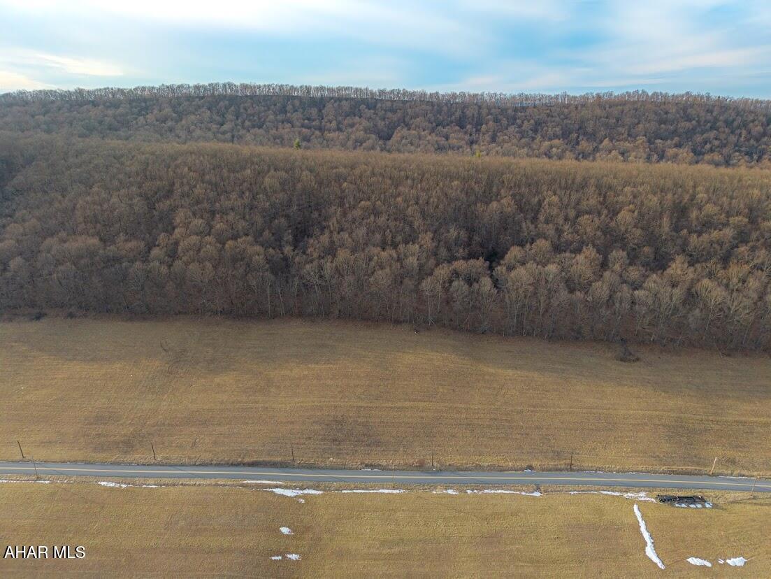 19.95-acre Milligans Cove Road Manns Choice, PA 15550 - Photo 14 of 15 Gallery Image 14