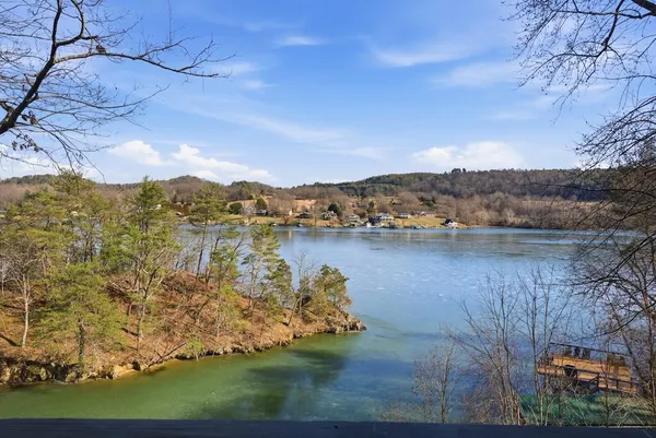 a view of a lake with a mountain in the background