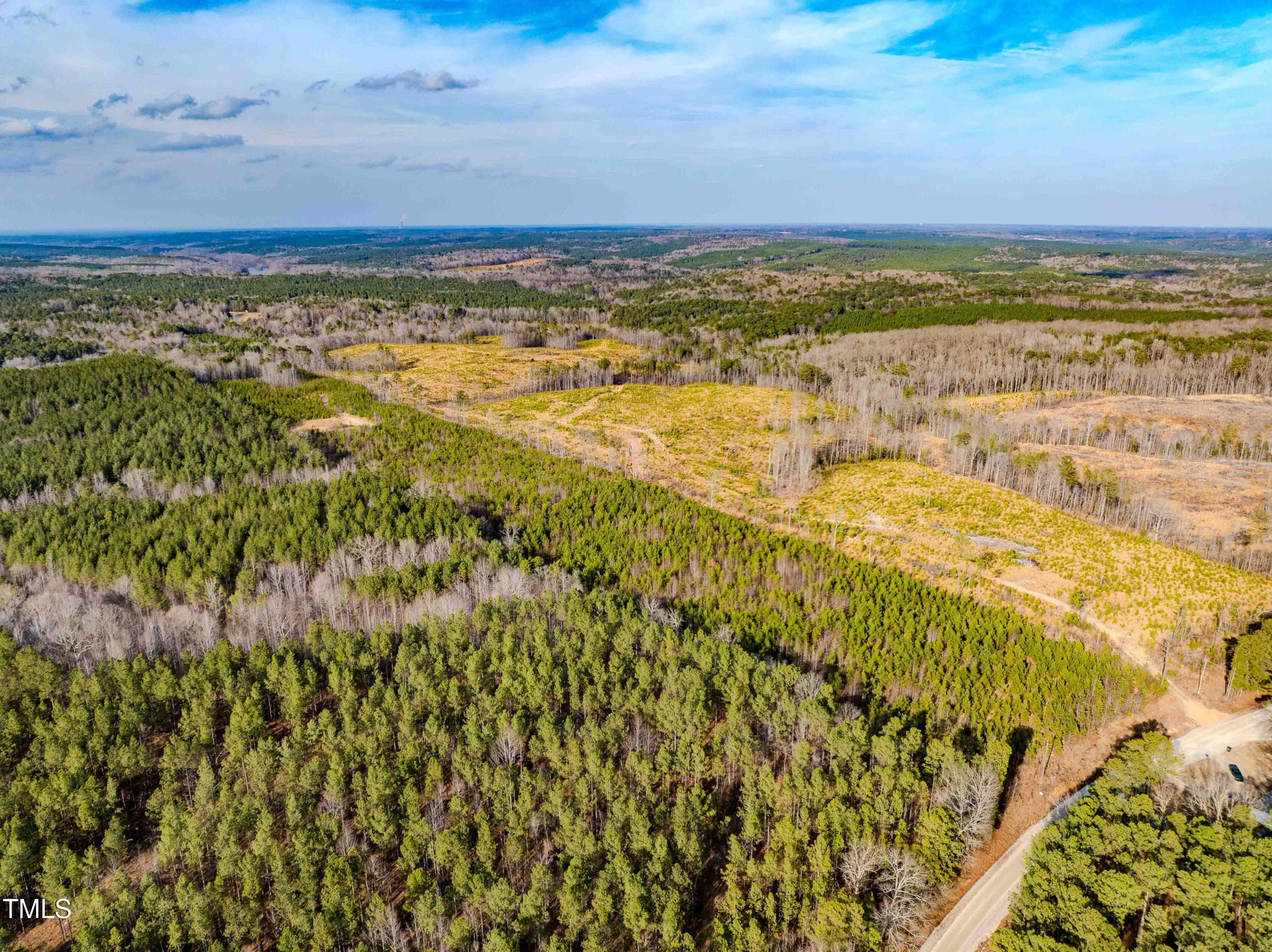 0 Hicks Road Broadway, NC 27505 - Photo 28 of 29 31.06ac - Harnett Co. (26)