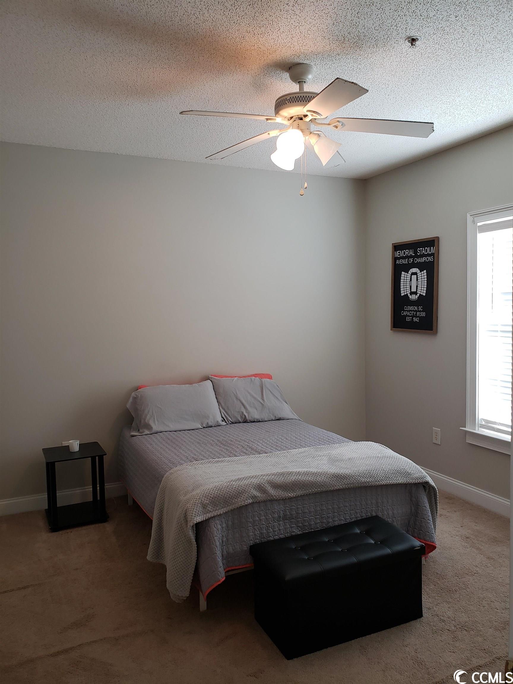 6022 Dick Pond Road, Unit 205 Myrtle Beach, SC 29588 - Photo 8 of 12 Gallery Image 8