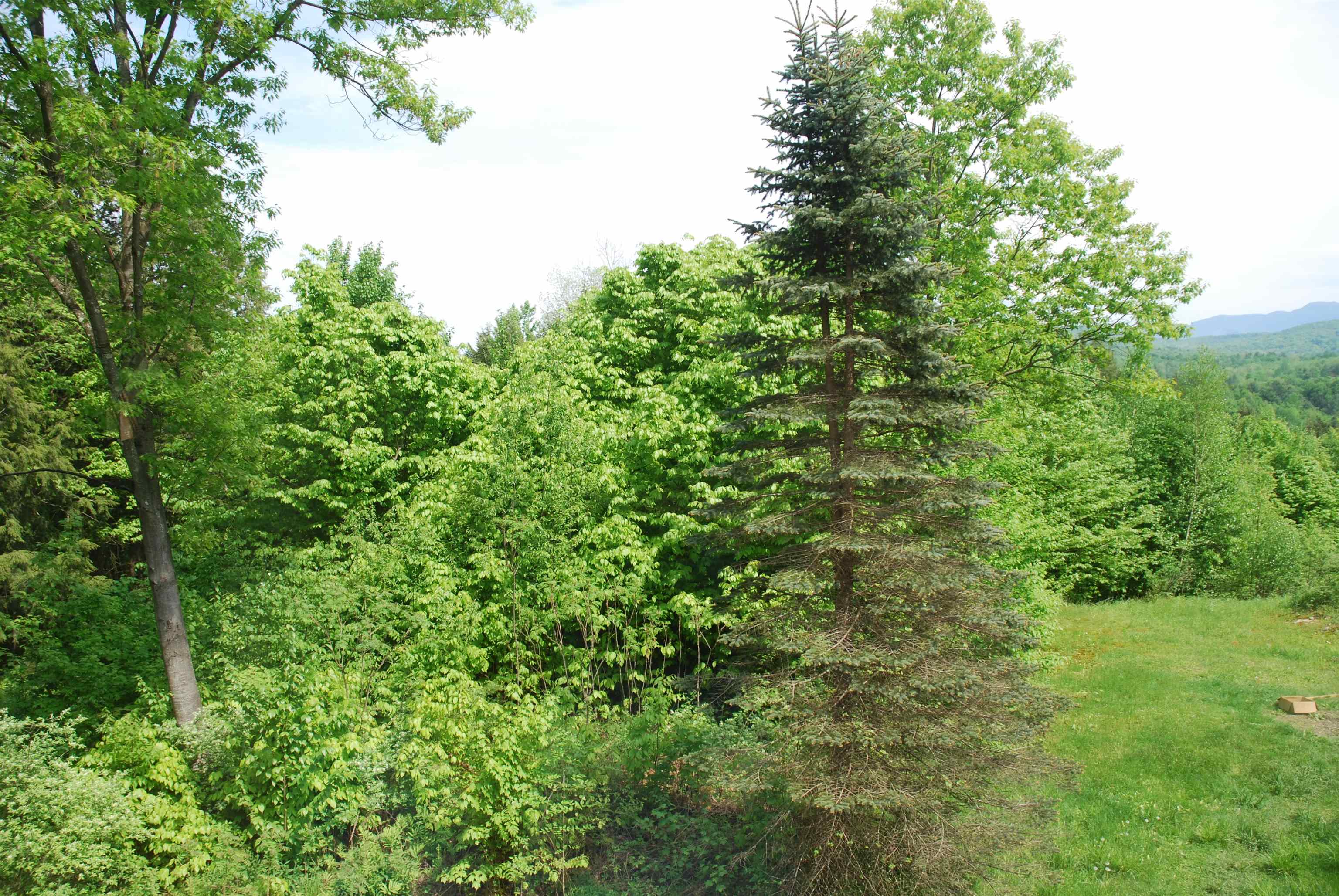 74 A Wimble Road Cambridge, VT 05444 - Photo 17 of 29 Gallery Image 17