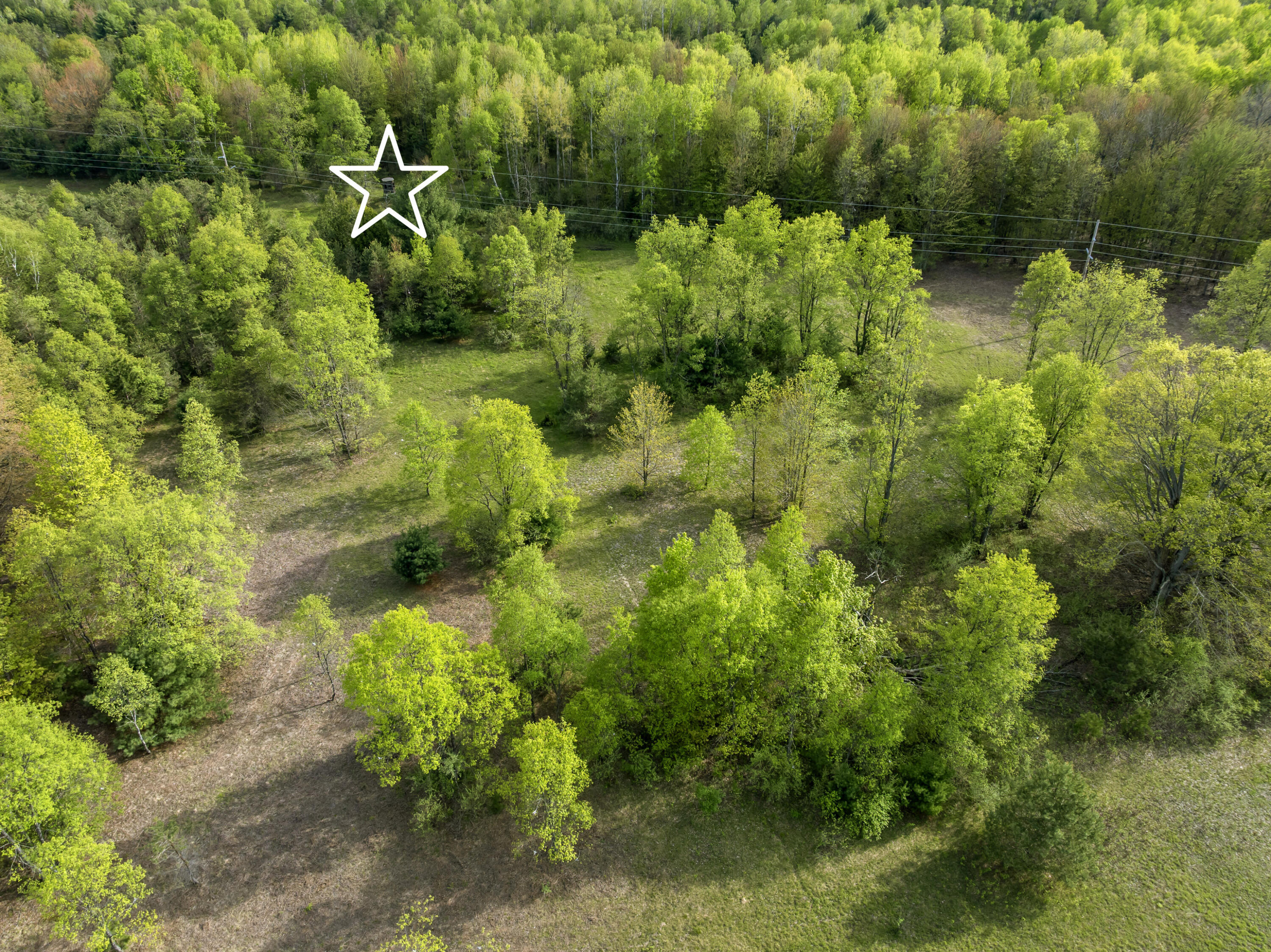 0 Dzuibanek Road Thompsonville, MI 49683 - Photo 9 of 21 DJI_20260522174746_0098_D