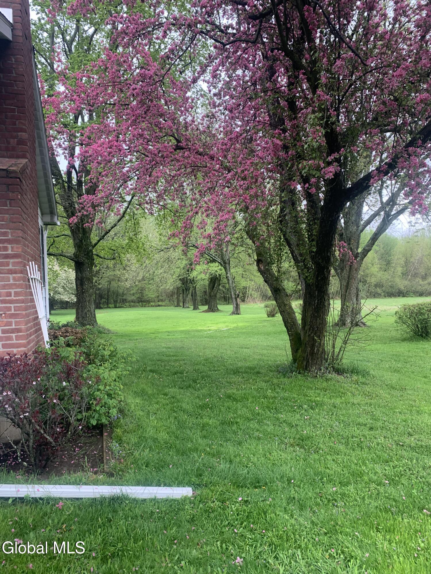 720 Mac Elroy Road Clifton Park, NY 12019 - Photo 32 of 38 IMG_3065 (1)