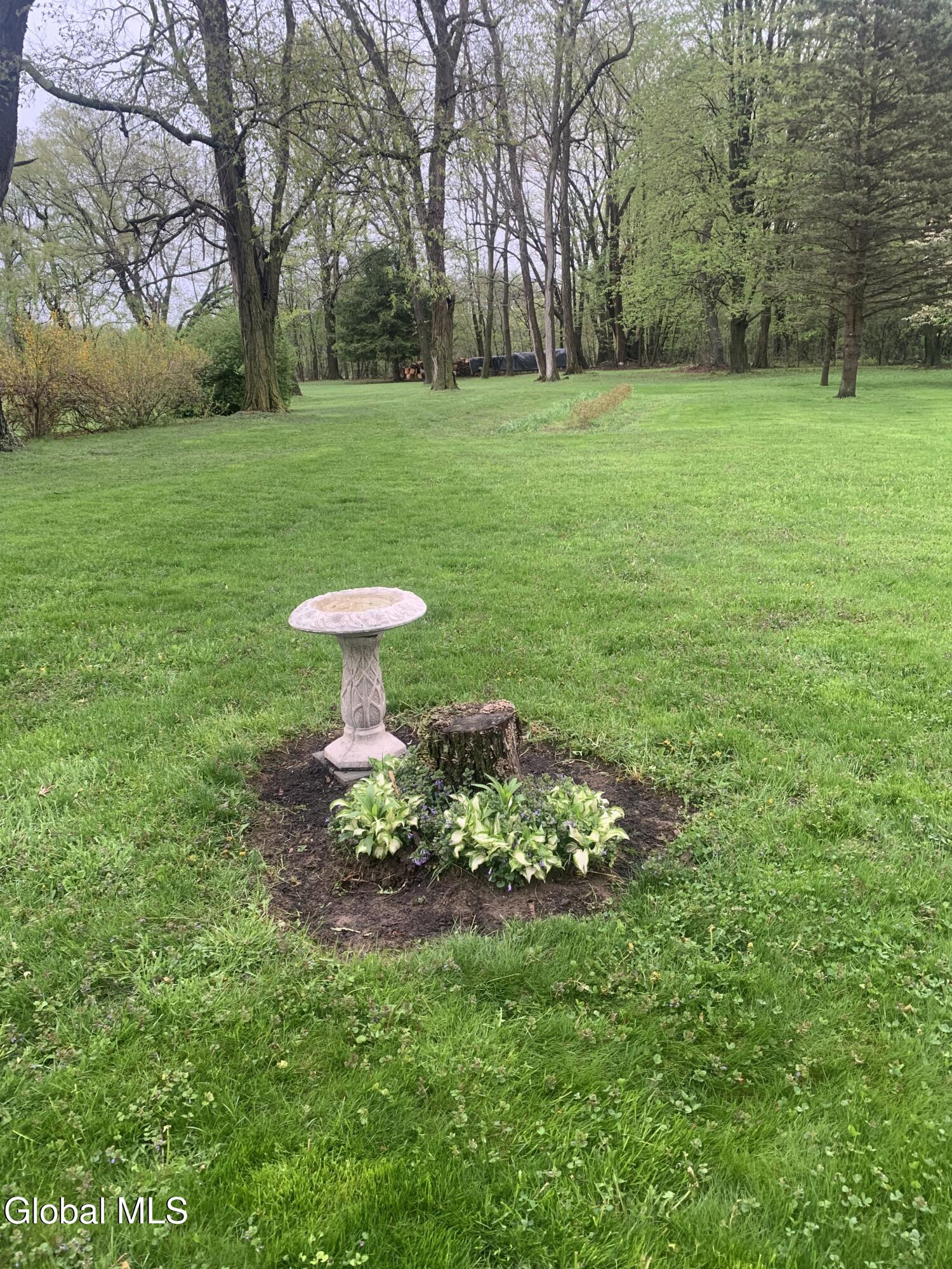 720 Mac Elroy Road Clifton Park, NY 12019 - Photo 33 of 38 IMG_3060