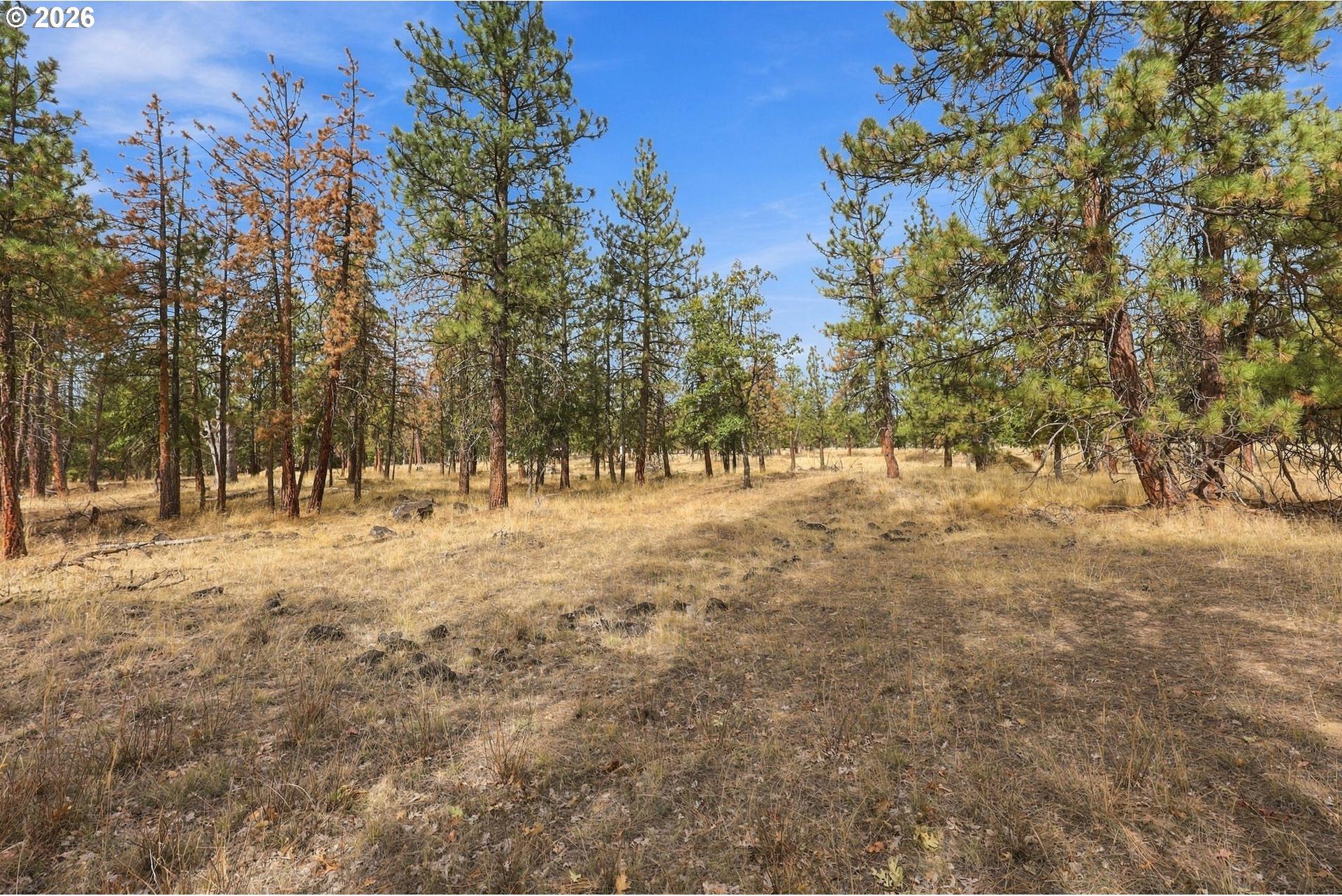 South West Road Tygh Valley, OR 97063 - Photo 12 of 17 Gallery Image 12