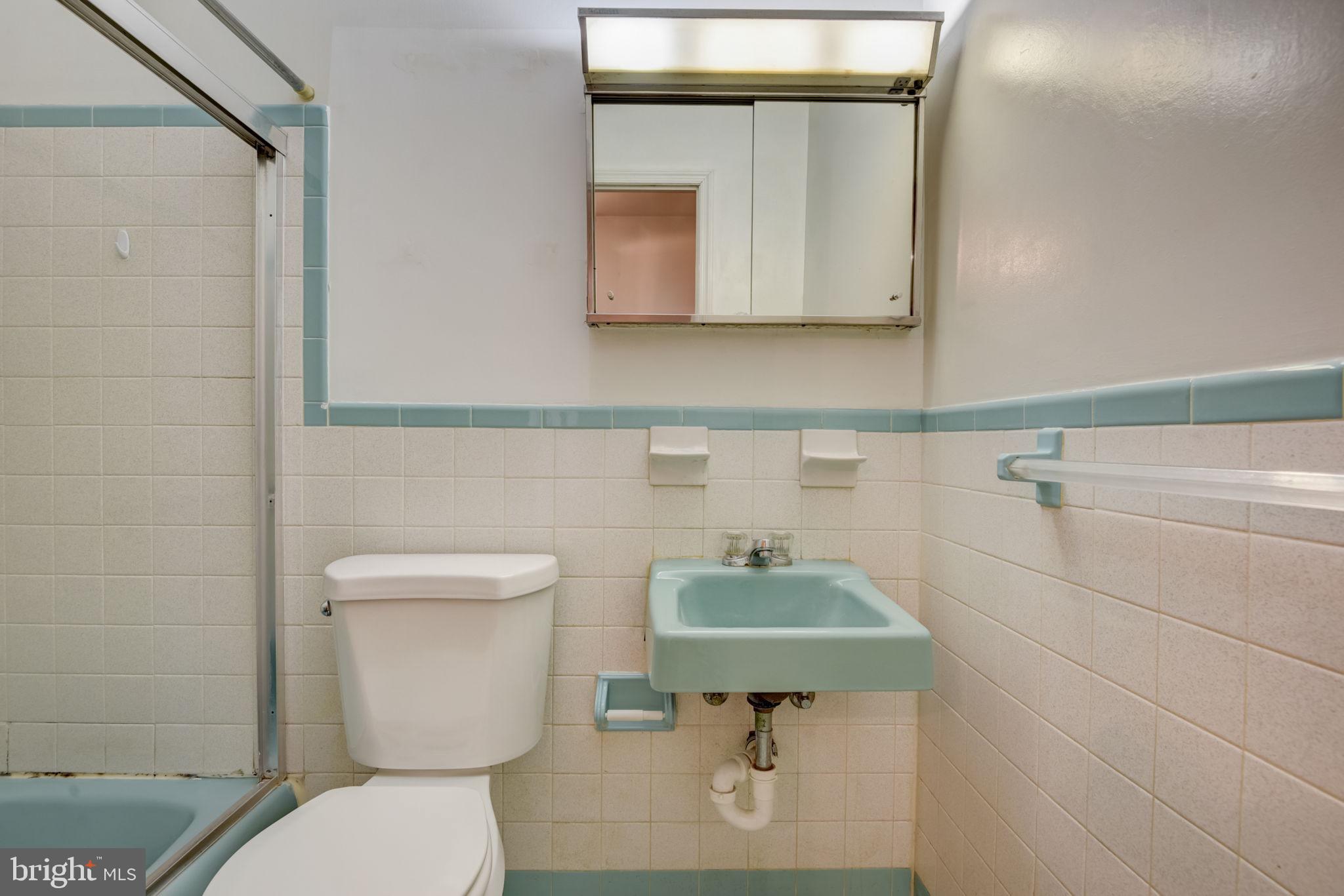 2934 Craiglawn Road Silver Spring, MD 20904 - Photo 20 of 39 20 - Hall bathroom (#2) (before caulking) - Main