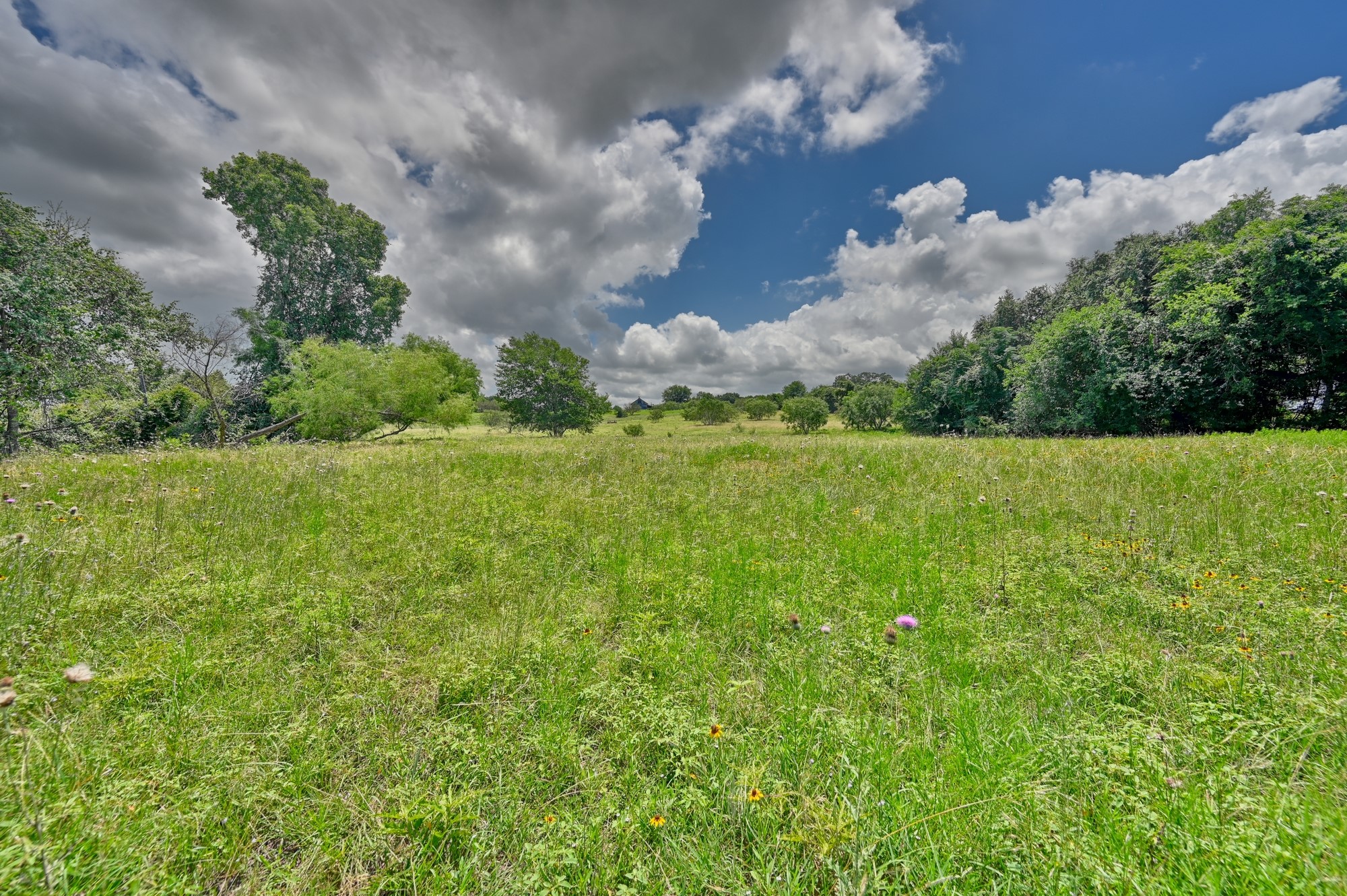 5208 Mensik Road Schulenburg, TX 78956 - Photo 31 of 34 Pasture
