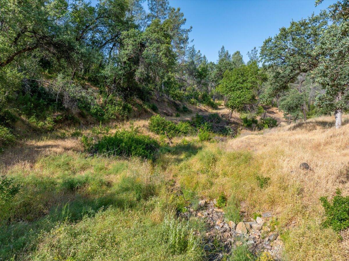 8550 Muletown Road Redding, CA 96001 - Photo 28 of 37 a view of a yard with plants and large trees