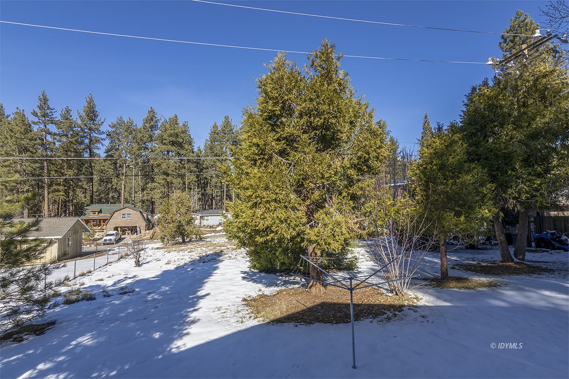 53098 Tollgate Road Idyllwild, CA 92549 - Photo 54 of 54 a view of a yard