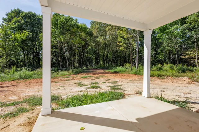 a view of a backyard with large trees and plants
