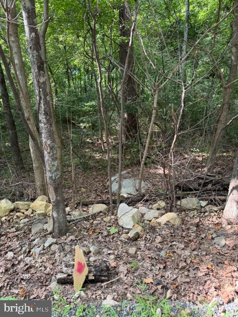 Smith Run Road Bentonville, VA 22610 - Photo 10 of 19 Gallery Image 10