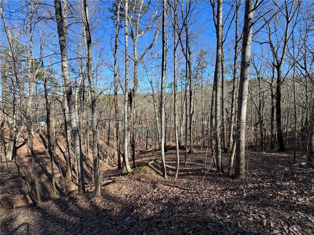 70 Geyser Court Ranger, GA 30734 - Photo 2 of 28