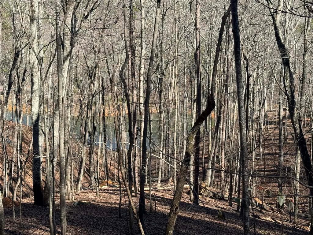 70 Geyser Court Ranger, GA 30734 - Photo 3 of 28