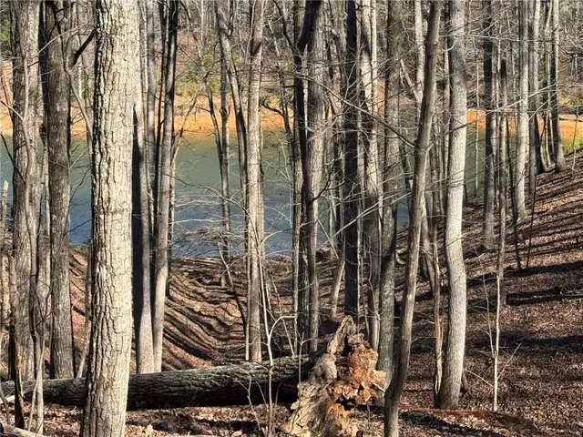 $55,000 | 70 Geyser Court, Ranger, GA 30734