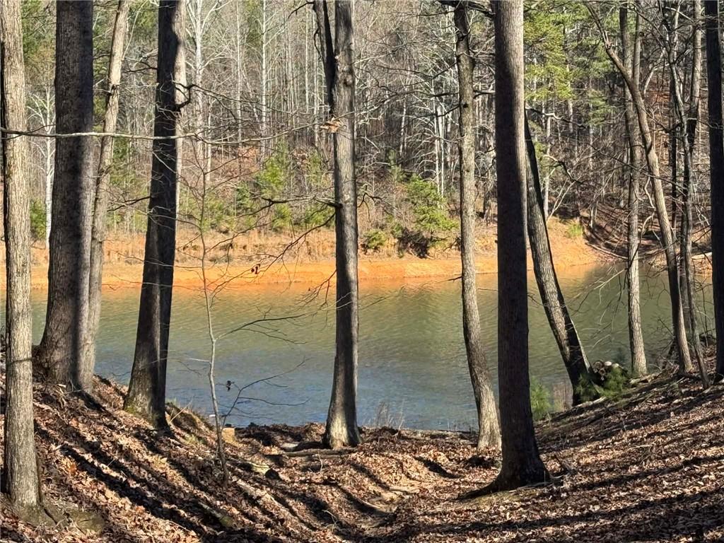 70 Geyser Court Ranger, GA 30734 - Photo 6 of 28