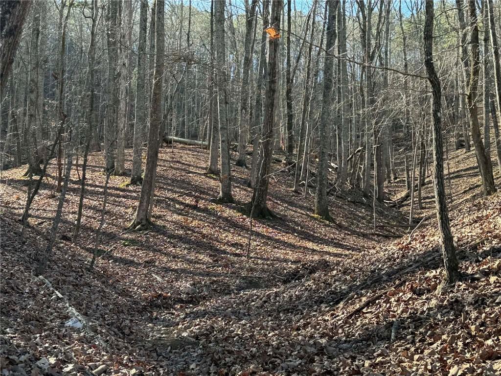 70 Geyser Court Ranger, GA 30734 - Photo 7 of 28
