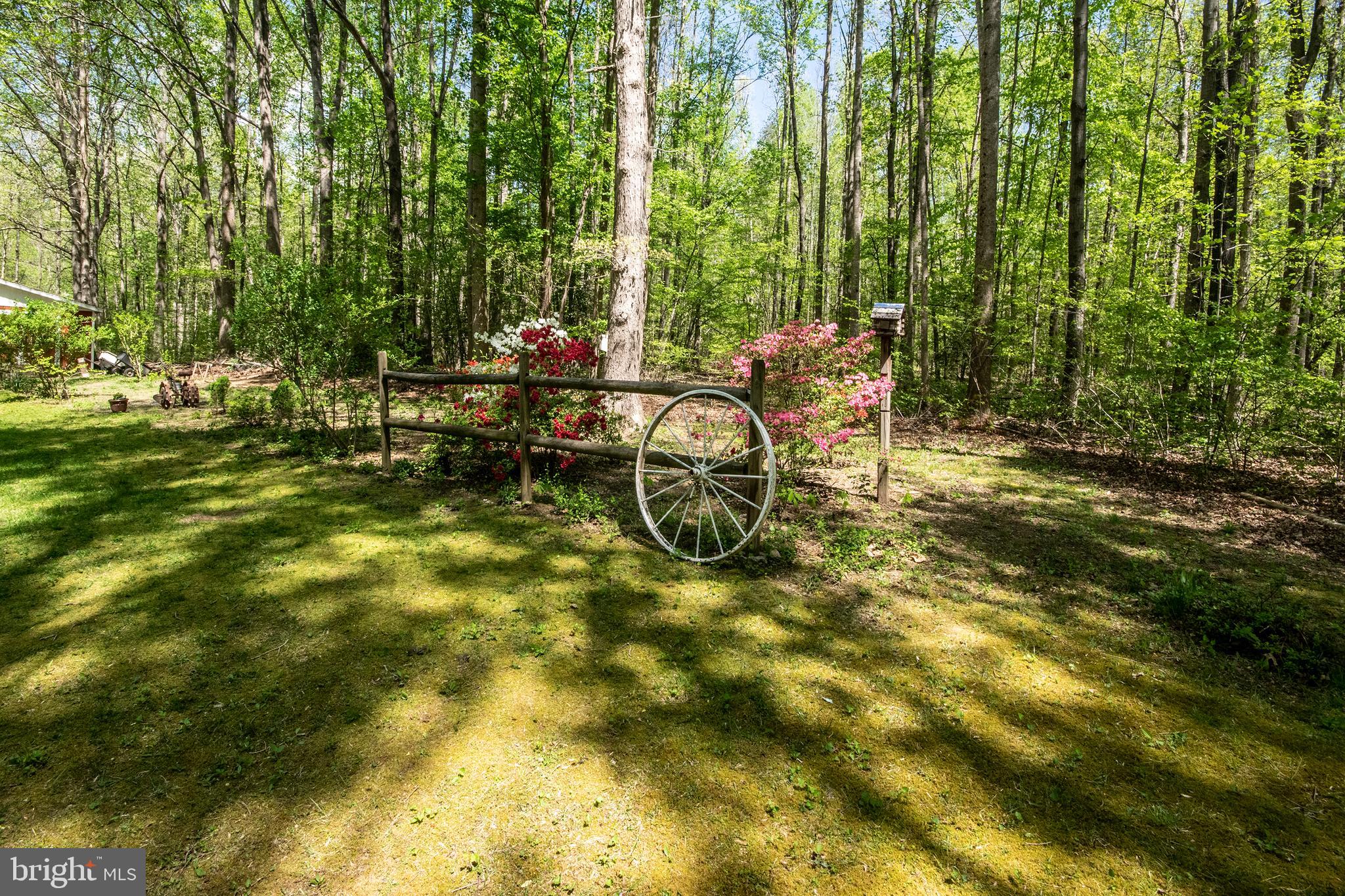8601 Hancock Road Spotsylvania, VA 22553 - Photo 2 of 33 Beautiful flowers and trees