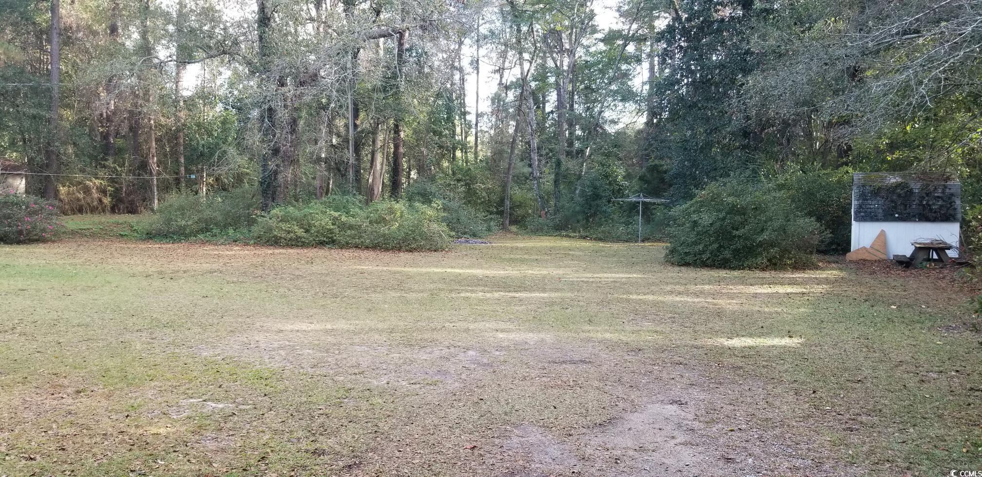 1046 Allen Street Conway, SC 29526 - Photo 10 of 25 View of yard
