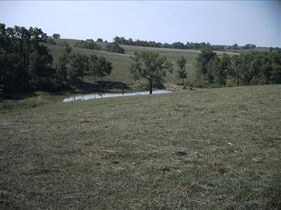 378 Levy Road Paris, KY 40361 - Photo 3 of 3 Photo 3