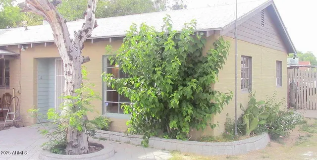 a potted plant sitting in front of a house
