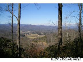 L49 Pepperbush Road, Unit 49 Brevard, NC 28712 - Photo 2 of 6 a view of a outdoor space