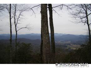 L49 Pepperbush Road, Unit 49 Brevard, NC 28712 - Photo 3 of 6 a view of a yard