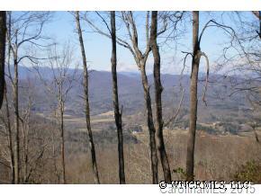 L49 Pepperbush Road, Unit 49 Brevard, NC 28712 - Photo 5 of 6