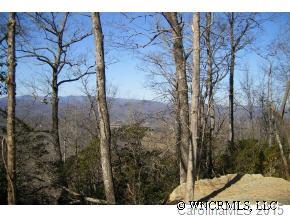 L49 Pepperbush Road, Unit 49 Brevard, NC 28712 - Photo 6 of 6 a view of a yard