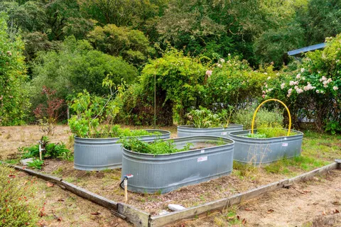 a view of a house with potted plants and wooden fence