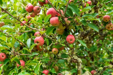 a view of brick house with a large window and potted plants