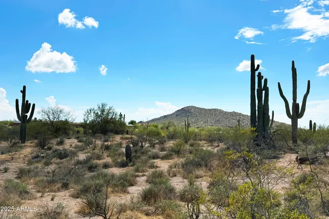 a view of a house with a mountain and a yard