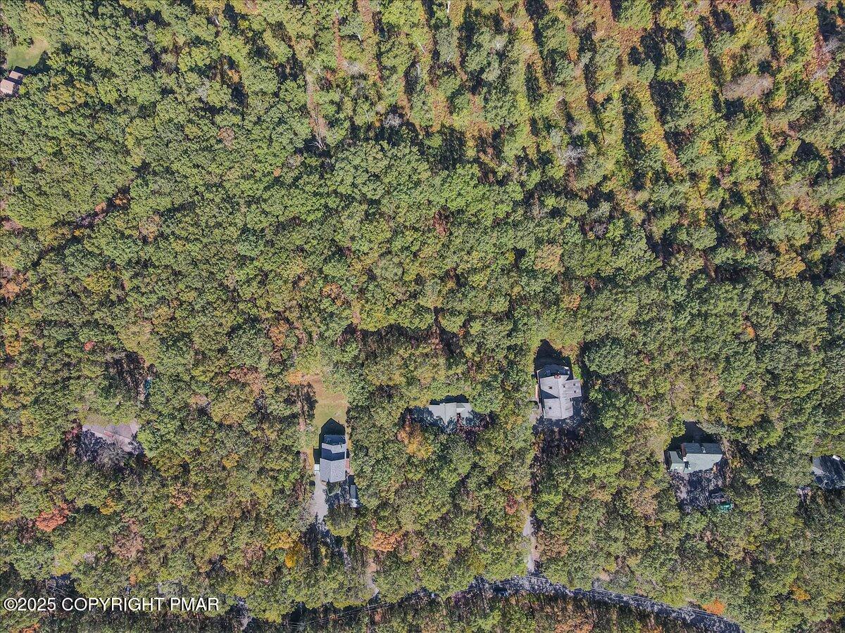 297 Forest Drive Canadensis, PA 18325 - Photo 46 of 58 a aerial view of a house with a yard and large trees