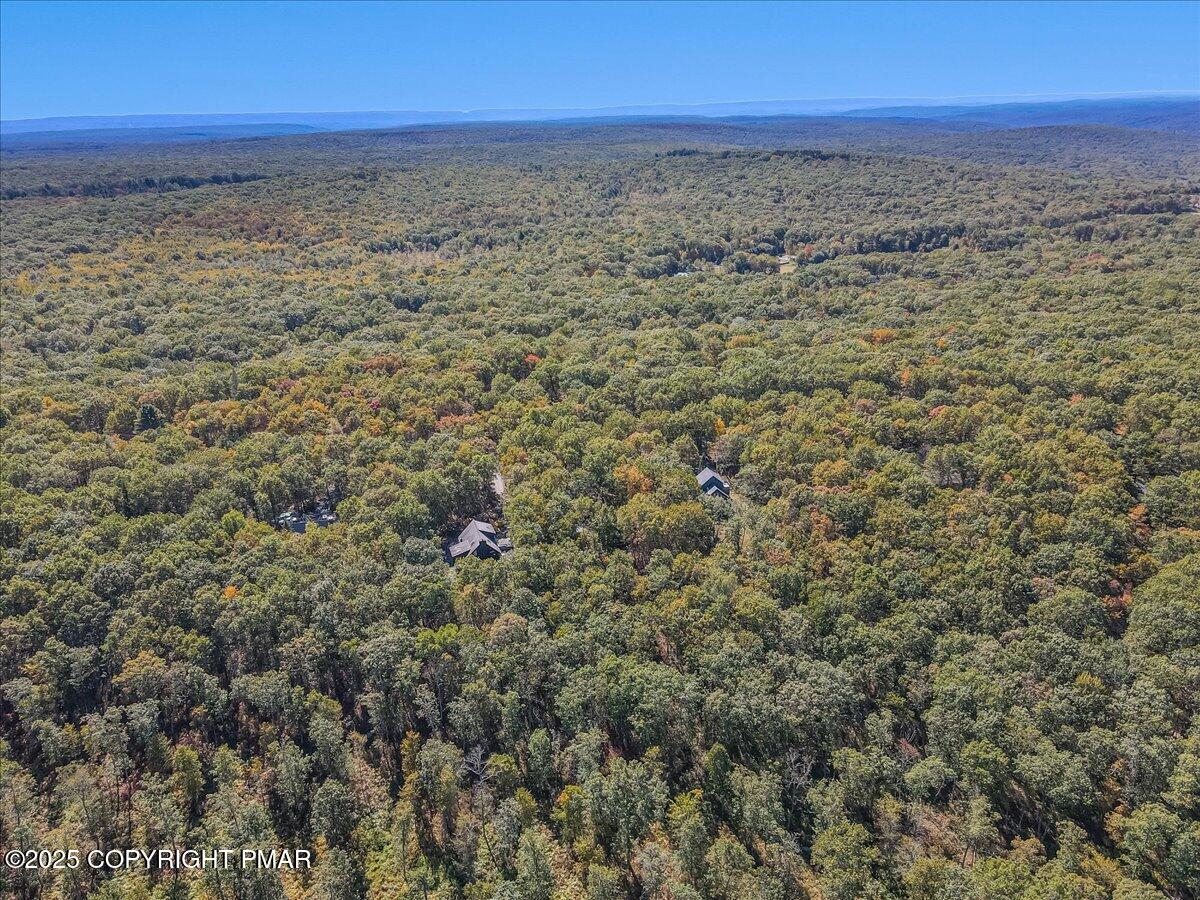297 Forest Drive Canadensis, PA 18325 - Photo 47 of 58 Ariel View