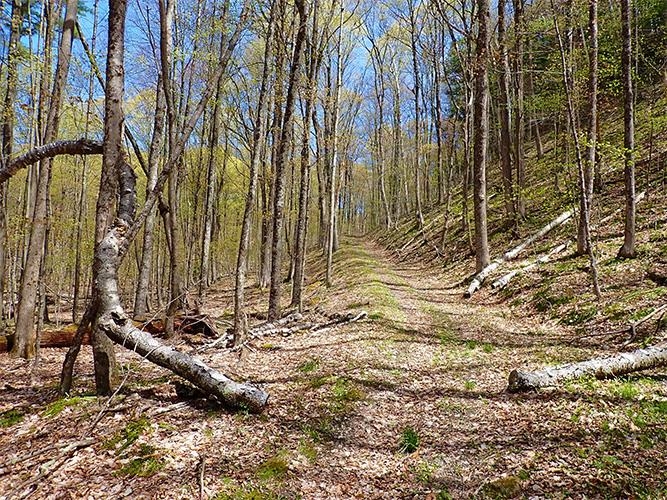 1082 Frog Hollow Road Hubbardton, VT 05735 - Photo 14 of 29