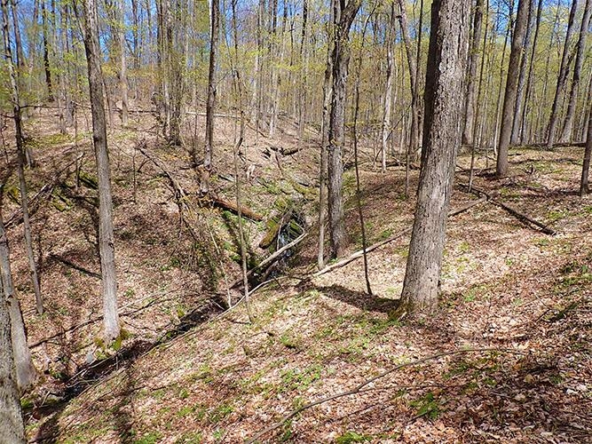 1082 Frog Hollow Road Hubbardton, VT 05735 - Photo 15 of 29