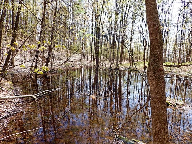 1082 Frog Hollow Road Hubbardton, VT 05735 - Photo 18 of 29