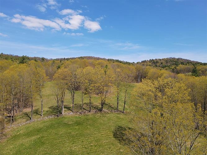 1082 Frog Hollow Road Hubbardton, VT 05735 - Photo 10 of 29