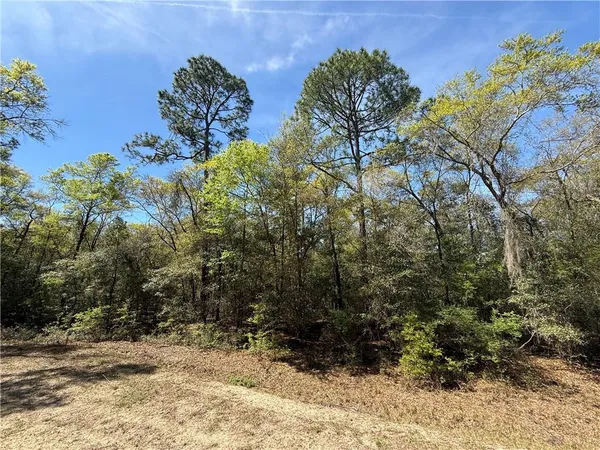 $40,000 | 4 Deer Court, Waverly, GA 31565