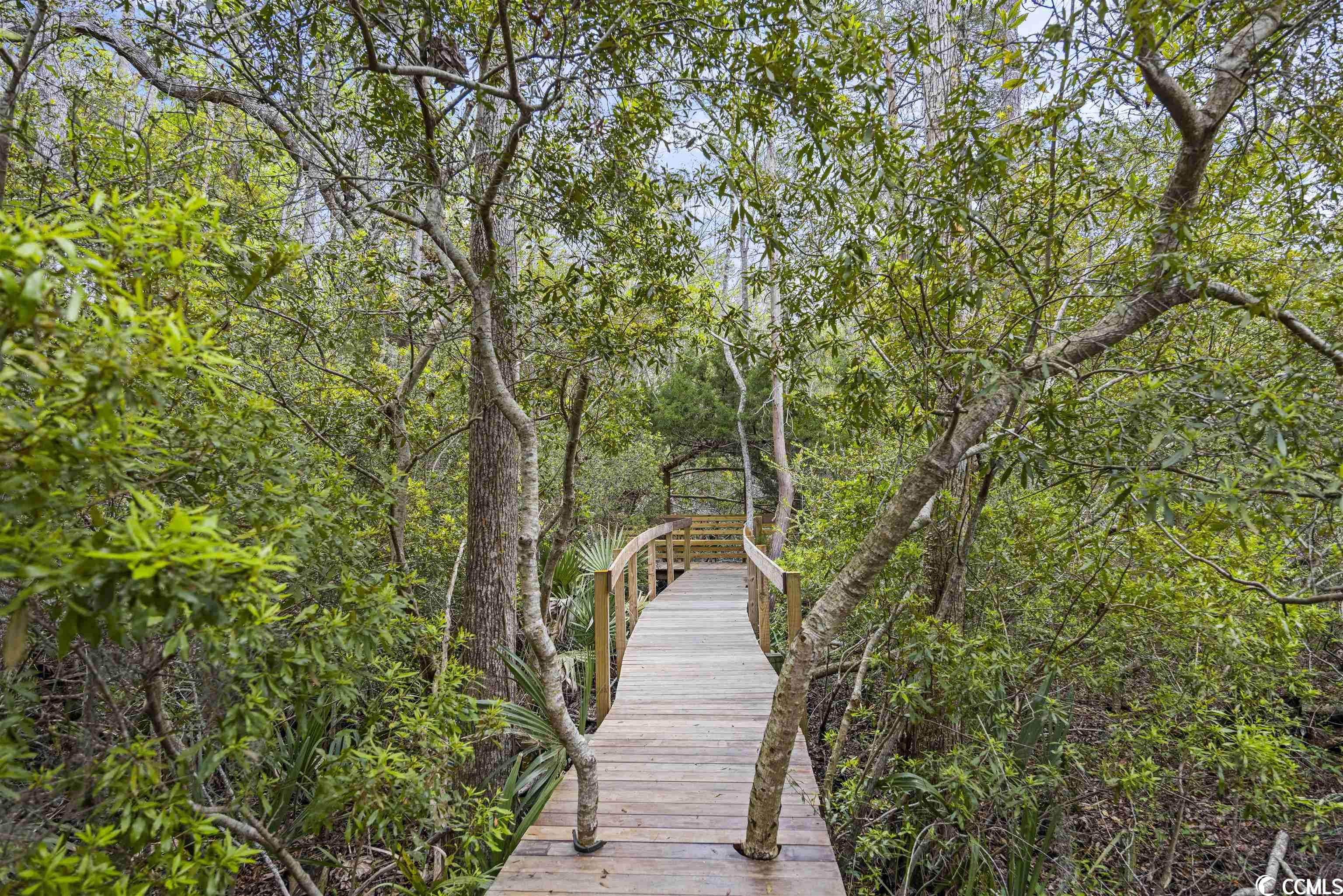 231 Watson Way Pawleys Island, SC 29585 - Photo 35 of 40