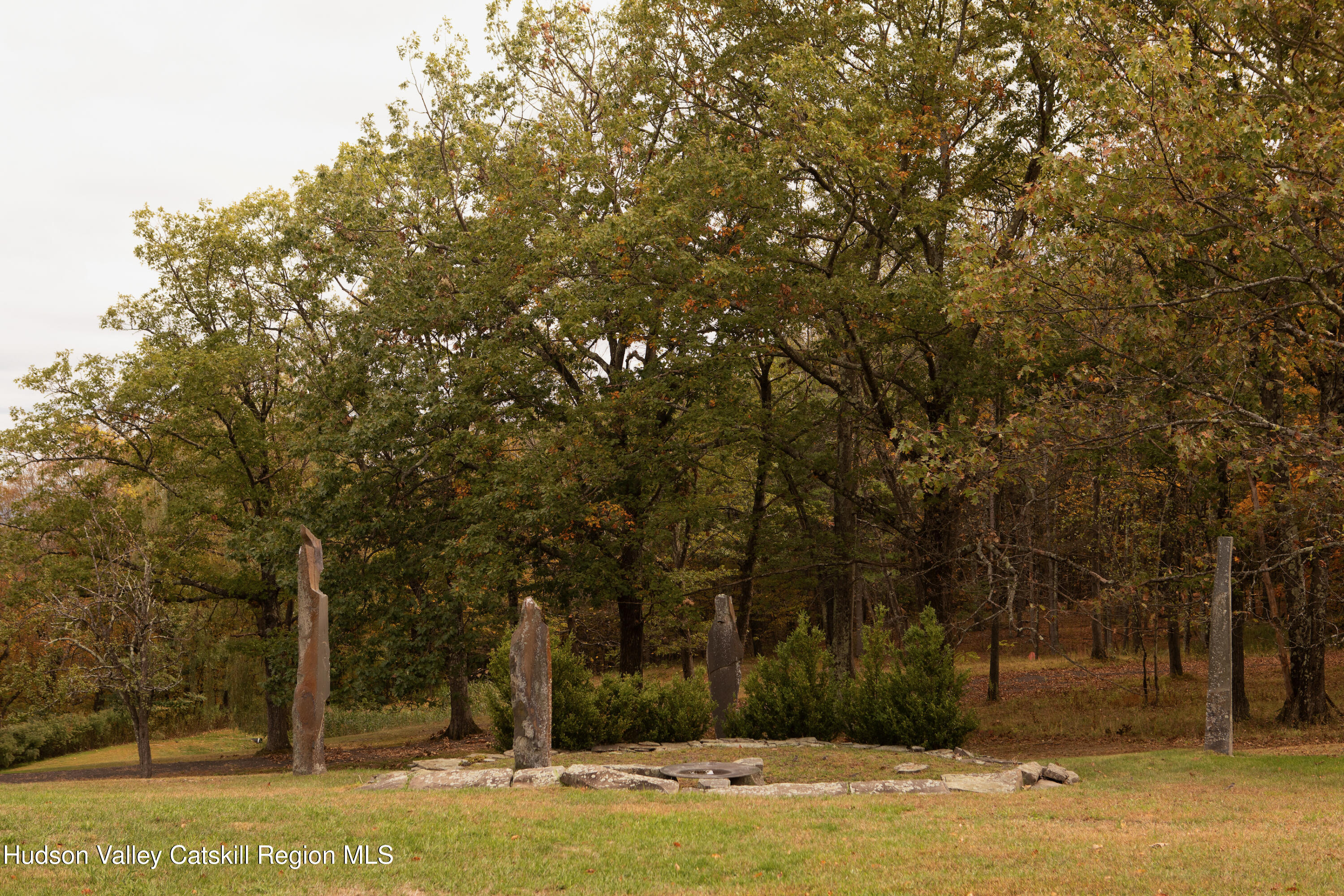 353 Haas Hill Road Climax, NY 12042 - Photo 48 of 50 a view of a yard with large trees