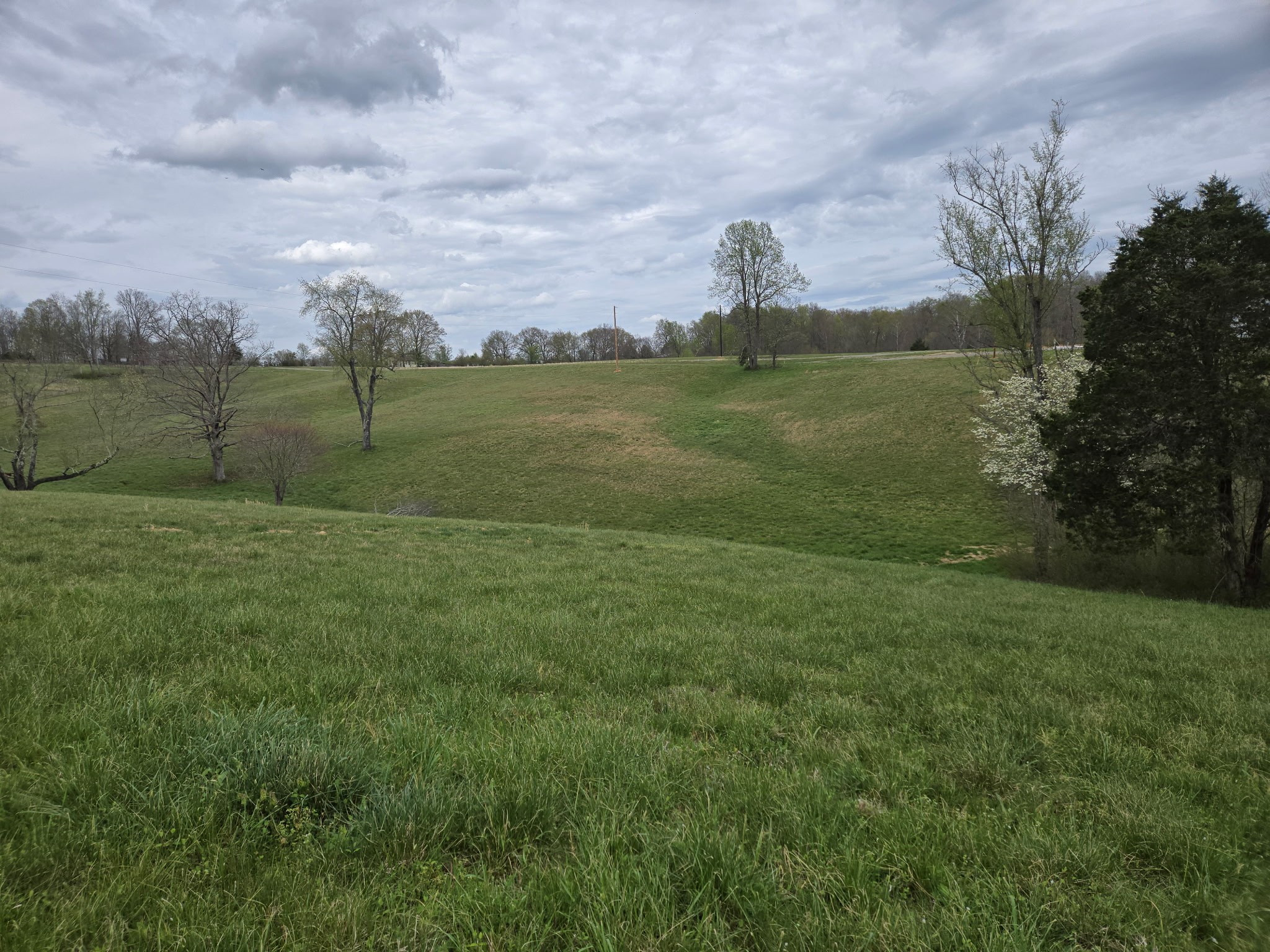 0 Cowan Road Dickson, TN 37055 - Photo 11 of 18 a view of a field with trees in the background